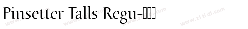Pinsetter Talls Regu字体转换